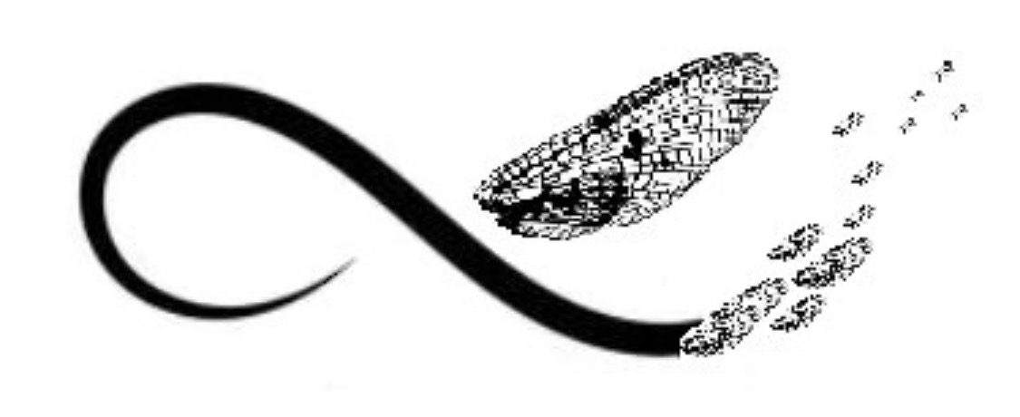 Logo Infini éphémère de l’association EAASII